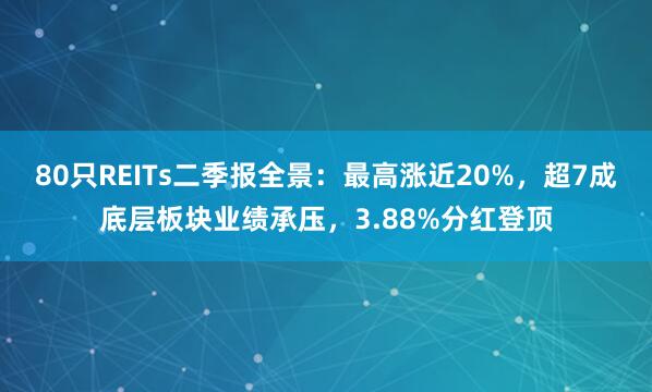 80只REITs二季报全景：最高涨近20%，超7成底层板块业绩承压，3.88%分红登顶