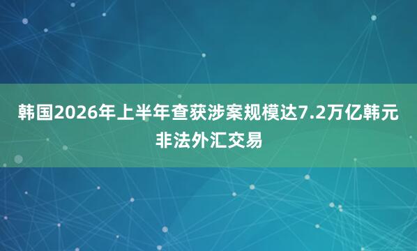 韩国2026年上半年查获涉案规模达7.2万亿韩元非法外汇交易