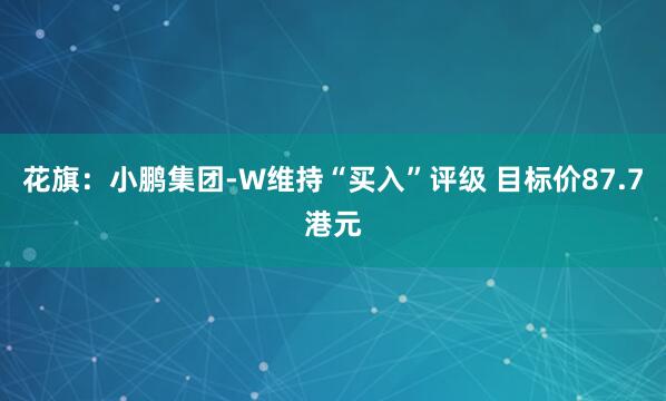 花旗：小鹏集团-W维持“买入”评级 目标价87.7港元