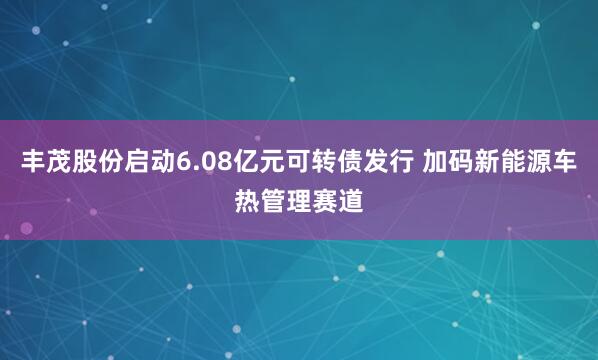丰茂股份启动6.08亿元可转债发行 加码新能源车热管理赛道