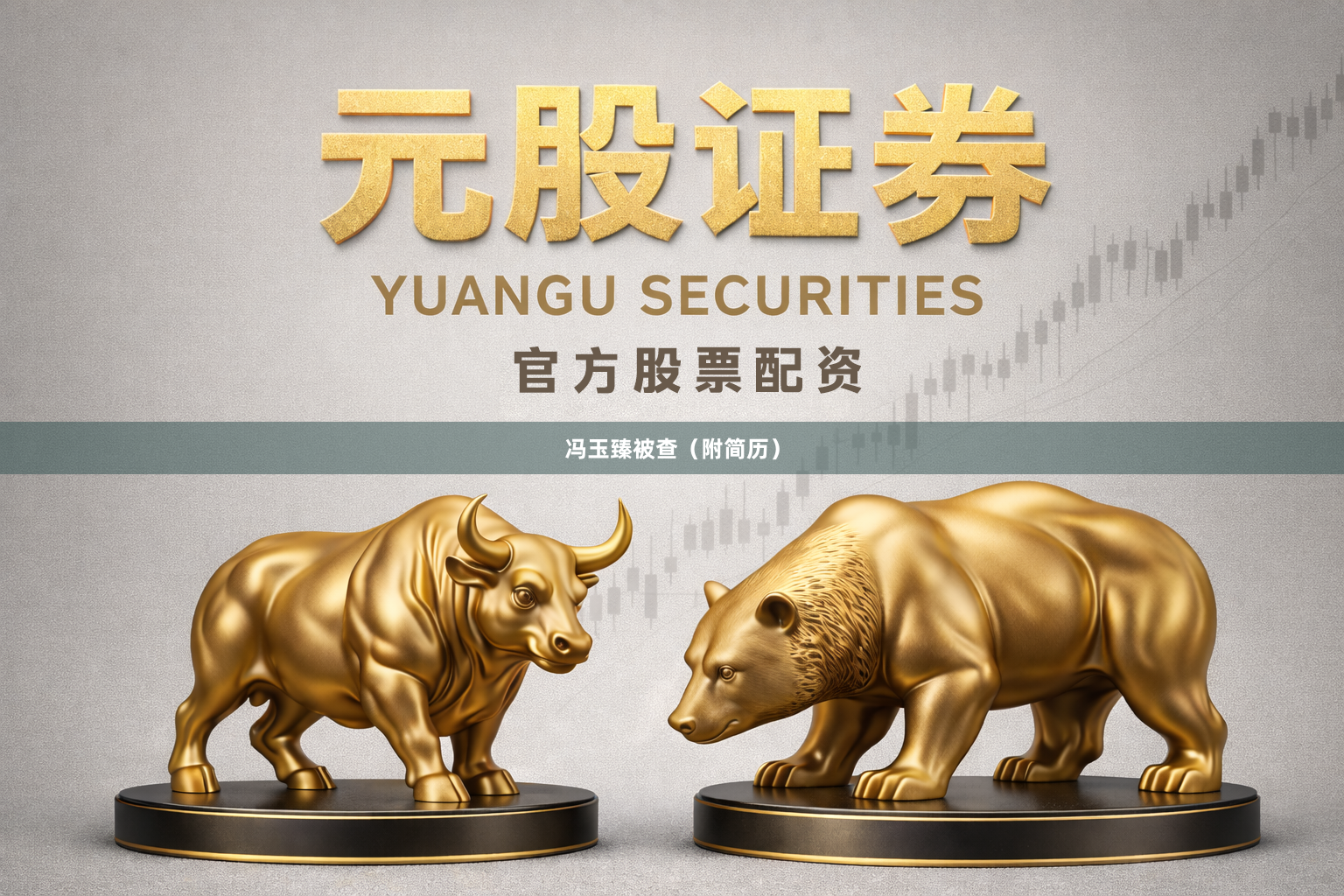 冯玉臻被查（附简历）